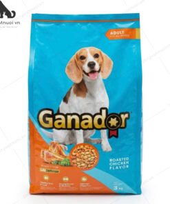 Thức Ăn Hạt Cho Chó Lớn Mọi Giống Chó Vị Thịt Gà Nướng Ganador Adult