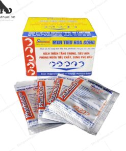 Men Tiêu Hoá Sống Tăng Trọng Phòng Ngừa Tiêu Chảy Sưng Phù Đầu Pharbiozym Gói 5g