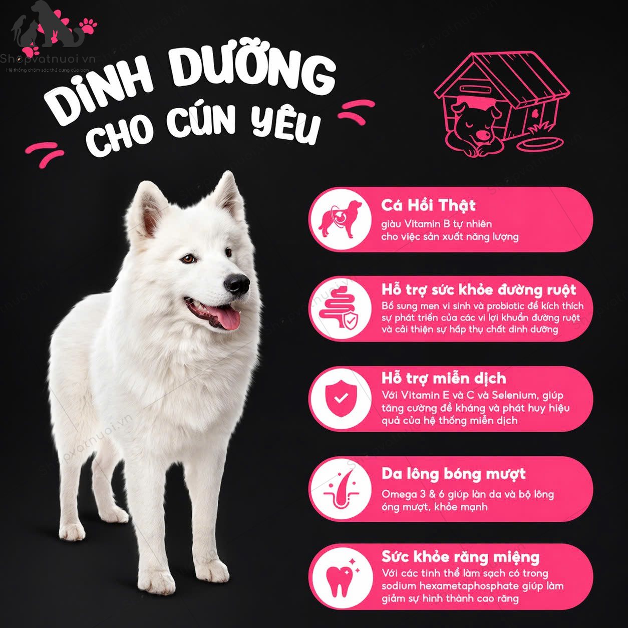 Thức Ăn Hạt Khô Cho Chó Ganador Vị Cá Hồi - Ảnh 2
