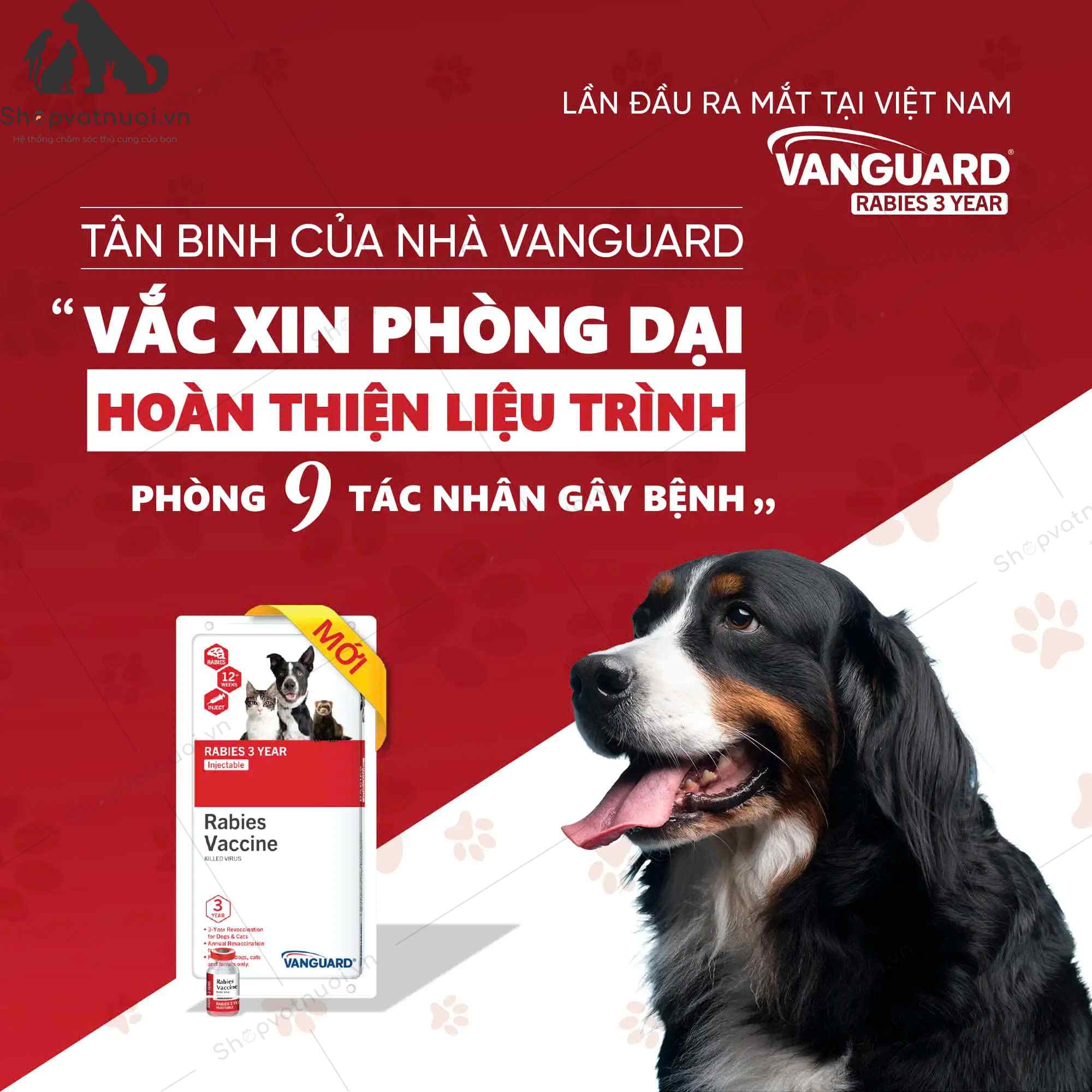 Vaccine Mỹ Phòng Dại Zoetis Vanguard Rabies 3 Year - Ảnh 3