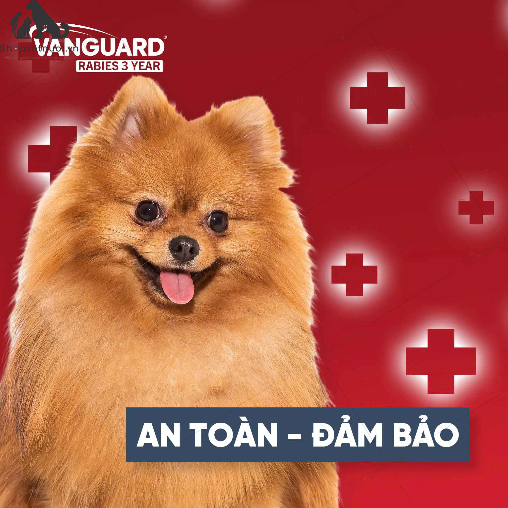Vaccine Mỹ Phòng Dại Zoetis Vanguard Rabies 3 Year - Ảnh 5