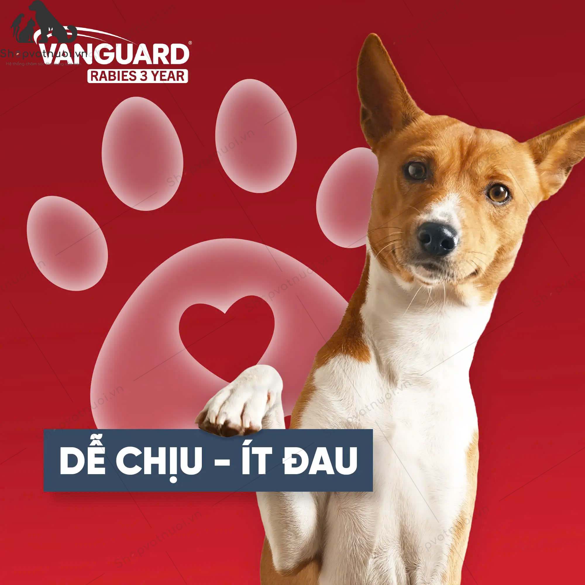 Vaccine Mỹ Phòng Dại Zoetis Vanguard Rabies 3 Year - Ảnh 6