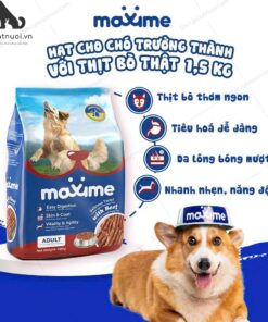 Thức Ăn Hạt Cho Chó Vị Thịt Bò Maxime