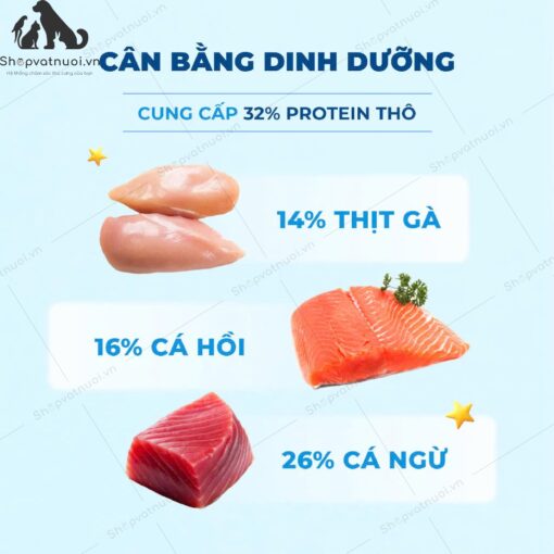 Thức Ăn Hạt Cho Mèo Mr.Vet 1kg - Ảnh 7