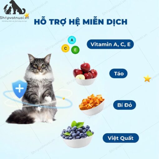 Thức Ăn Hạt Cho Mèo Mr.Vet 1kg - Ảnh 8