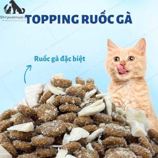 Thức Ăn Hạt Cho Mèo Mr.Vet 1kg - Ảnh 9