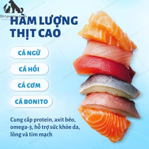 Thức Ăn Hạt Cho Mèo Mr.Vet 1kg - Ảnh 10