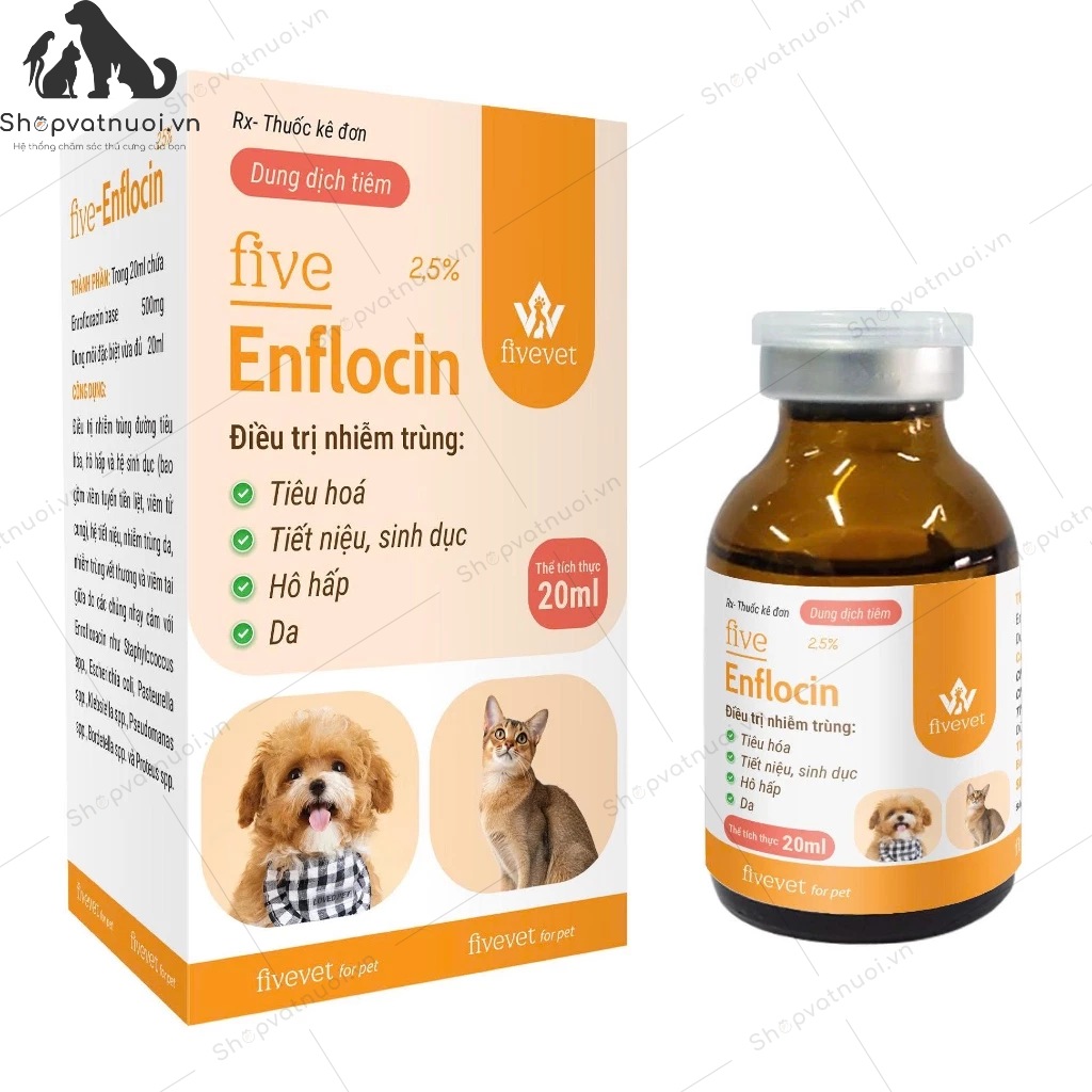 Dung Dịch Tiêm Trị Nhiễm Trùng Hô Hấp Tiêu Hóa Tiết Niệu Sinh Dục Và Da Ở Thú Cưng Five Enflocin FiveVet