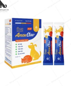 Kháng Sinh Uống Trị Nhiễm Trùng Hô Hấp Tiêu Hóa Tiết Niệu Sinh Dục Da Five Vet Amox Clav FiveVet