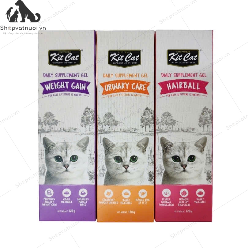 Gel Dinh Dưỡng Cho Mèo Kit Cat 120g