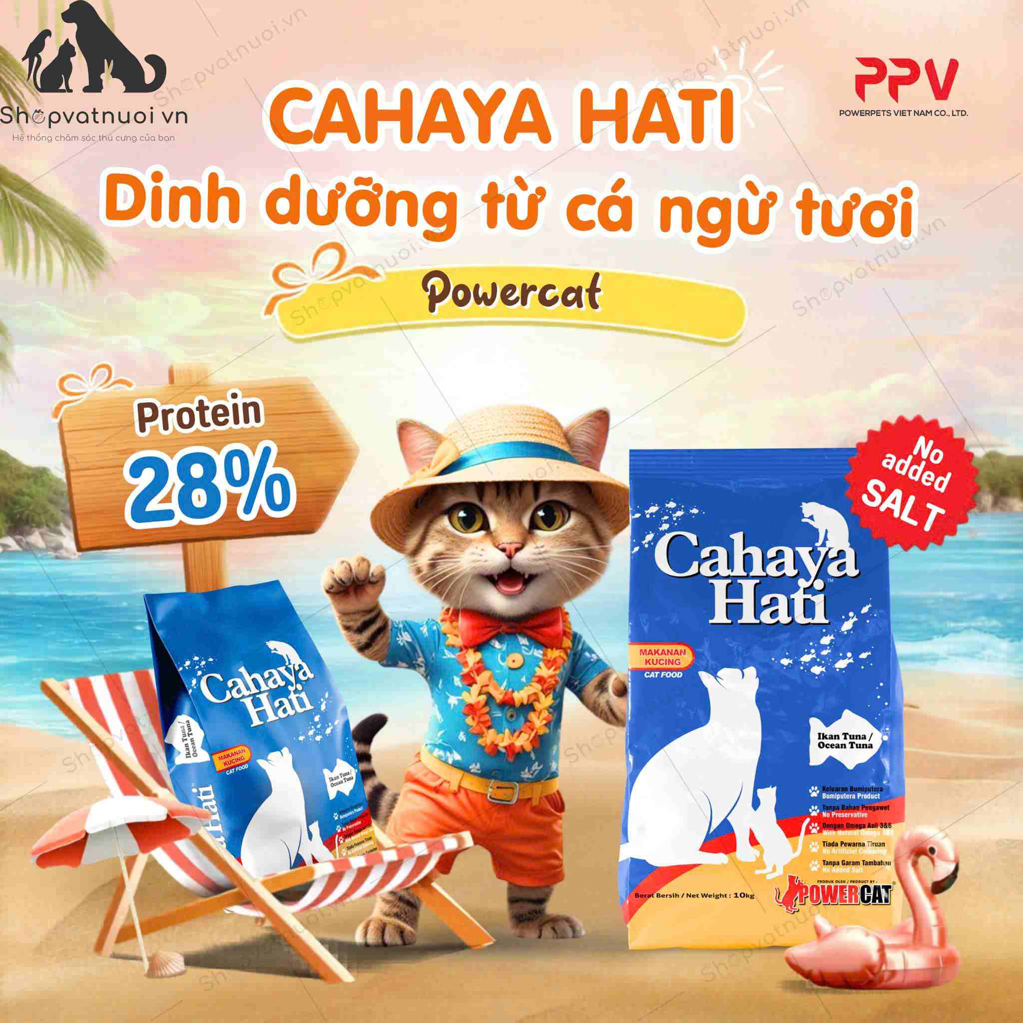 Thức Ăn Hạt Cho Mèo Cahaya Hati Power Cat - Ảnh 3