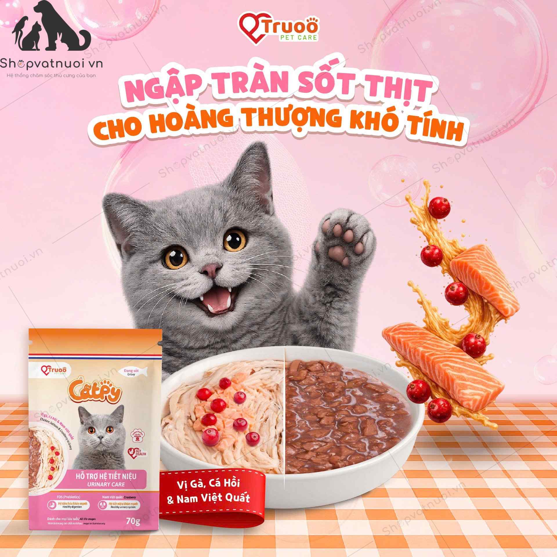 Thức Ăn Hỗn Hợp Pate Cho Mèo Catpy Truoo 70g - Ảnh 4