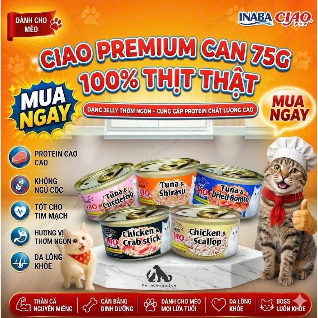 Pate Mèo Lon Inaba CIAO 75G