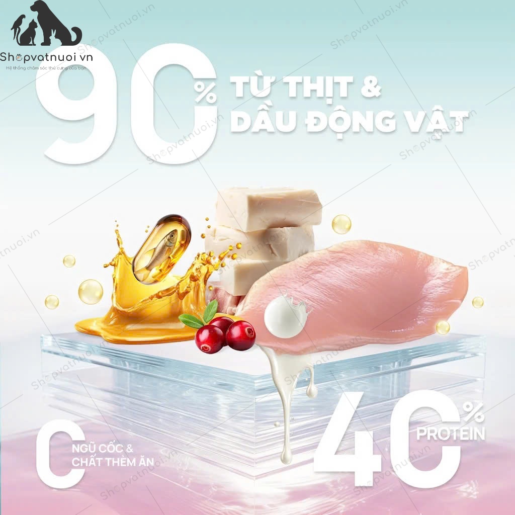 Thức Ăn Hạt Cho Mèo Churro C90 - C90U - C90K PET.Q - Ảnh 3