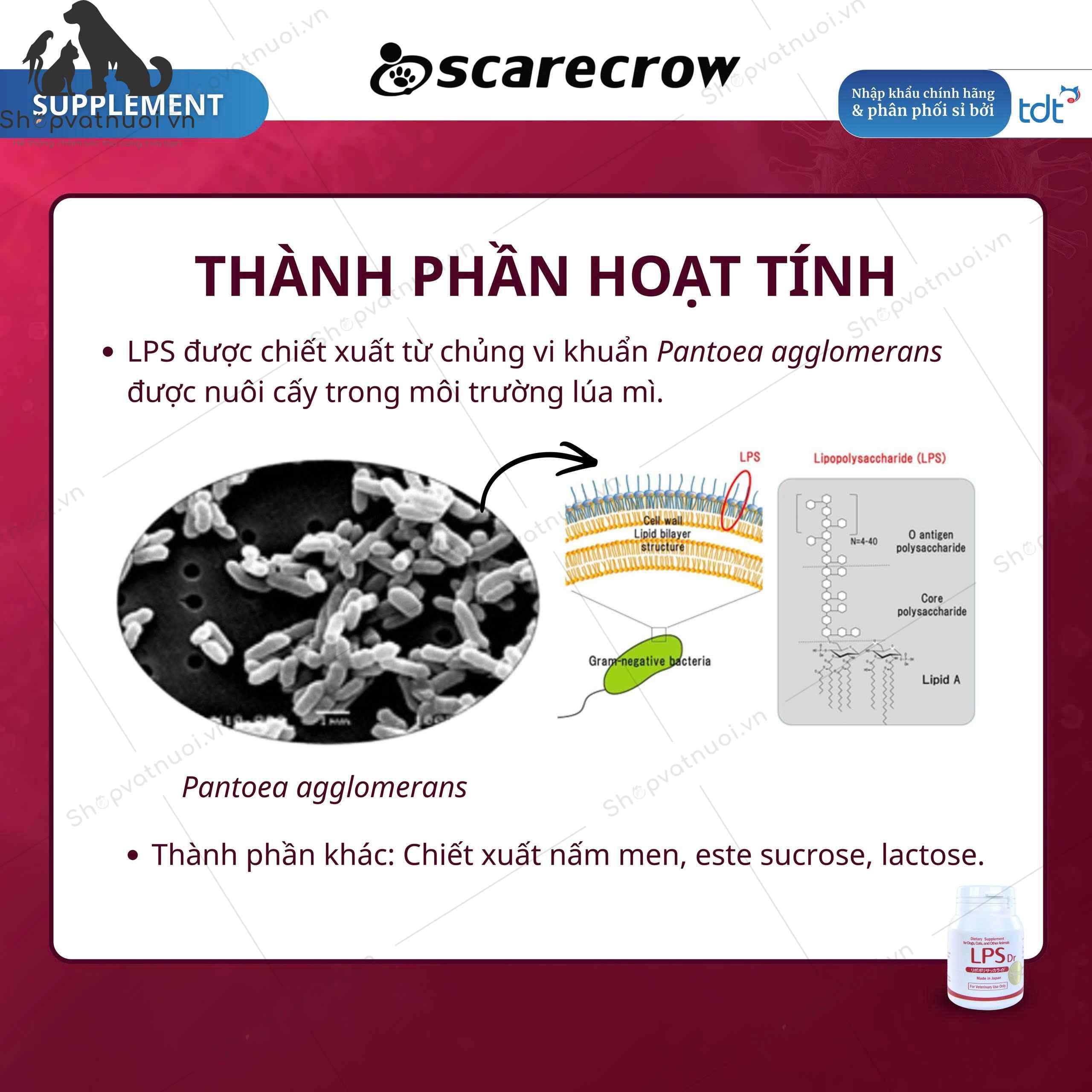 Tăng Cường Miễn Dịch Giảm Ngứa Nổi Mẩn Kích Mọc Lông LPS Dr Super TDT Nhật Bản - Ảnh 4