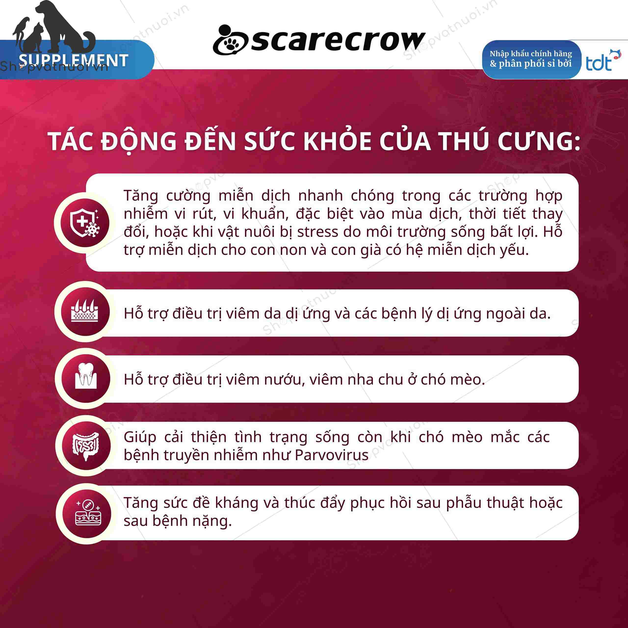 Tăng Cường Miễn Dịch Giảm Ngứa Nổi Mẩn Kích Mọc Lông LPS Dr Super TDT Nhật Bản - Ảnh 5