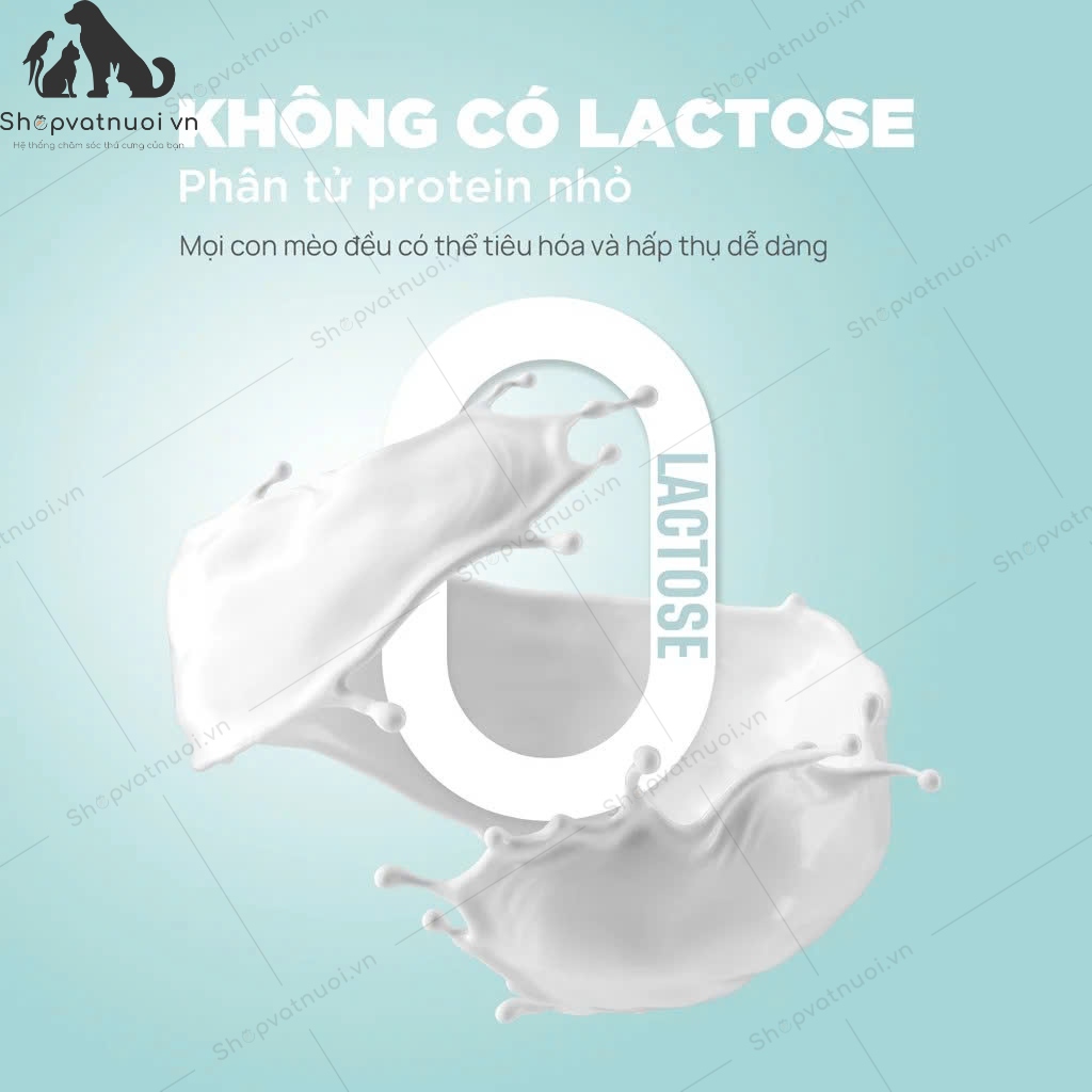 Thức Ăn Ướt Pate Sữa Dê Cho Mèo Pet Q 70g - Ảnh 12