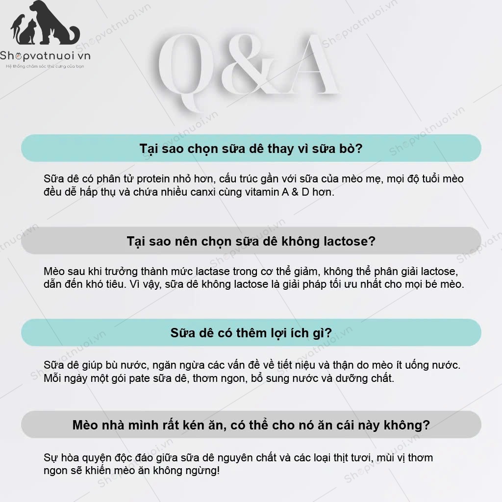 Thức Ăn Ướt Pate Sữa Dê Cho Mèo Pet Q 70g - Ảnh 13