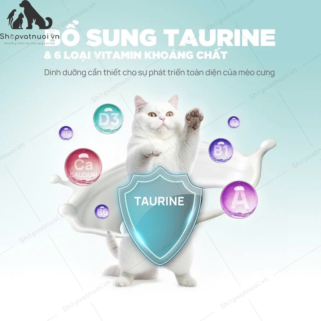 Thức Ăn Ướt Pate Sữa Dê Cho Mèo Pet Q 70g - Ảnh 14