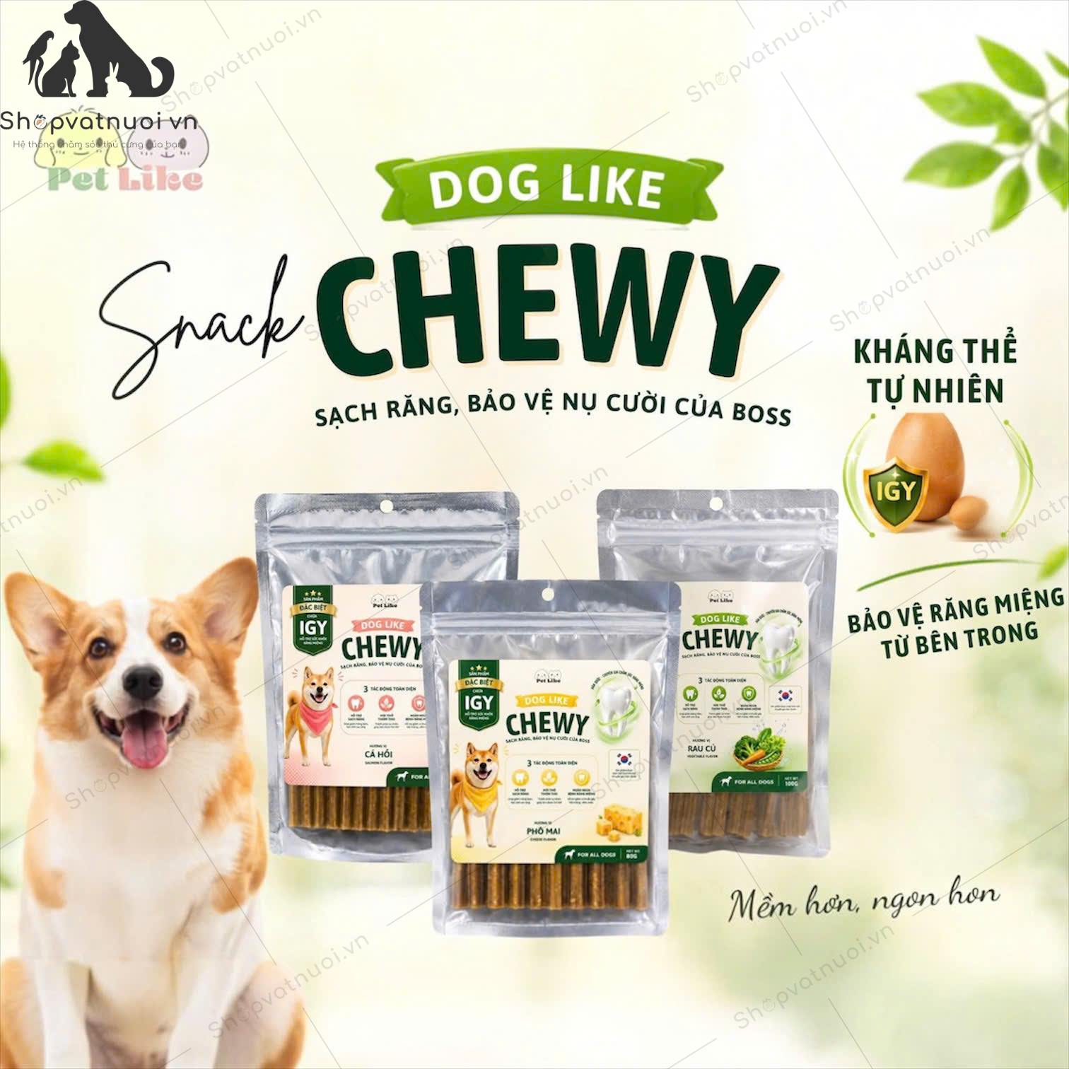 Xương Gặm Cho Chó Chewy Dog Like CTCBIO 80g